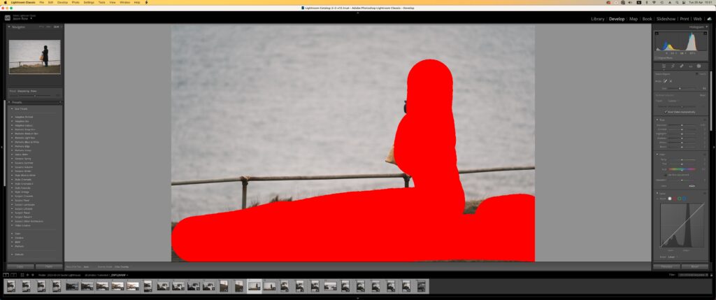 Lightroom object mask tool in action 