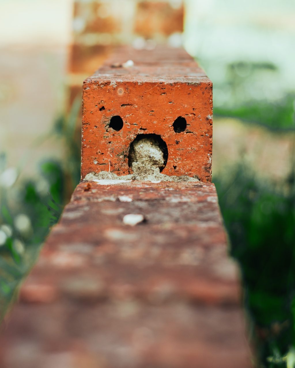 brick that looks like a face everyday objects