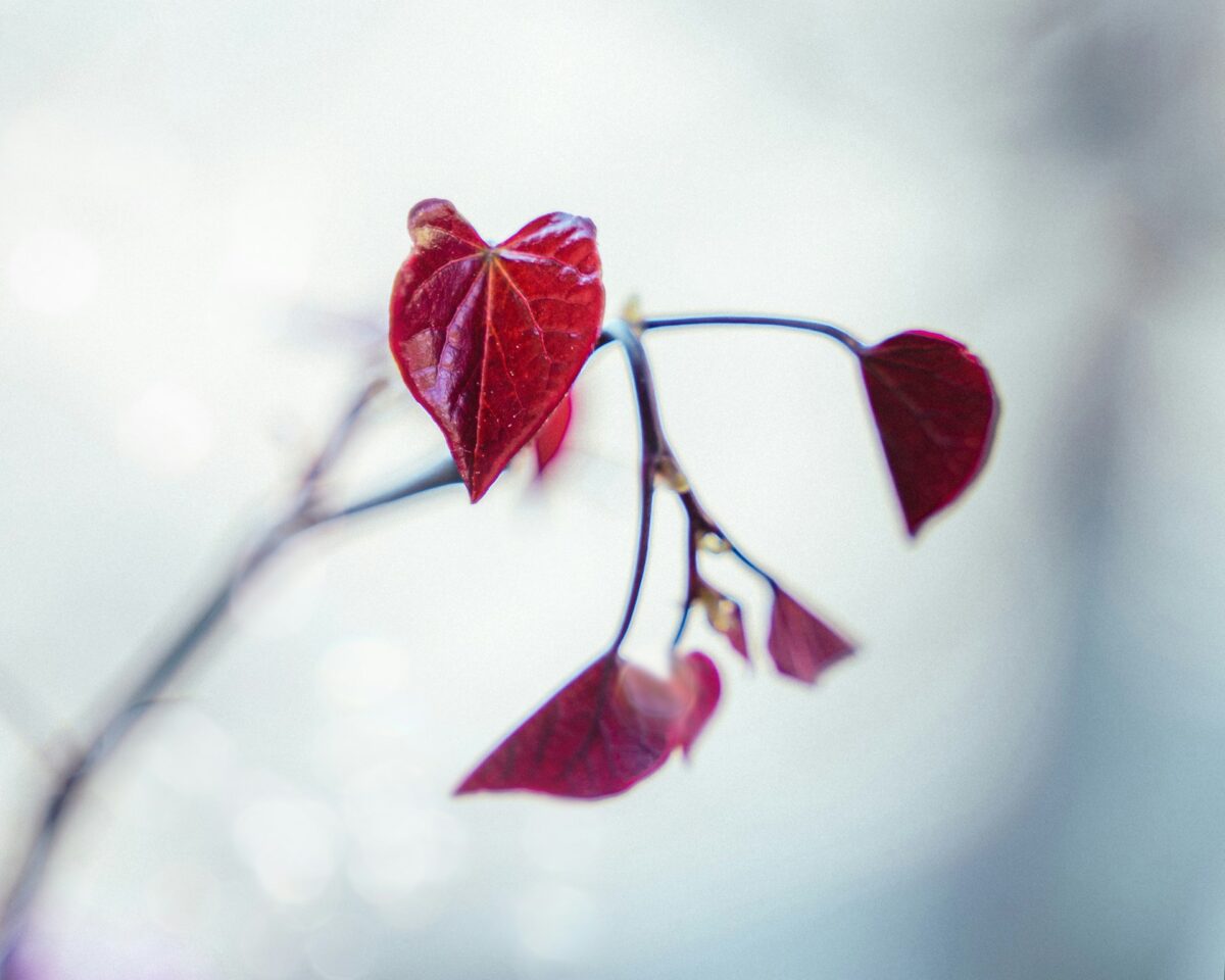 5 Important Photographers Working with Long Exposure | Light Stalking