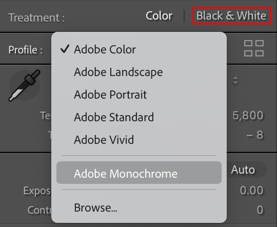 adobe monochrome