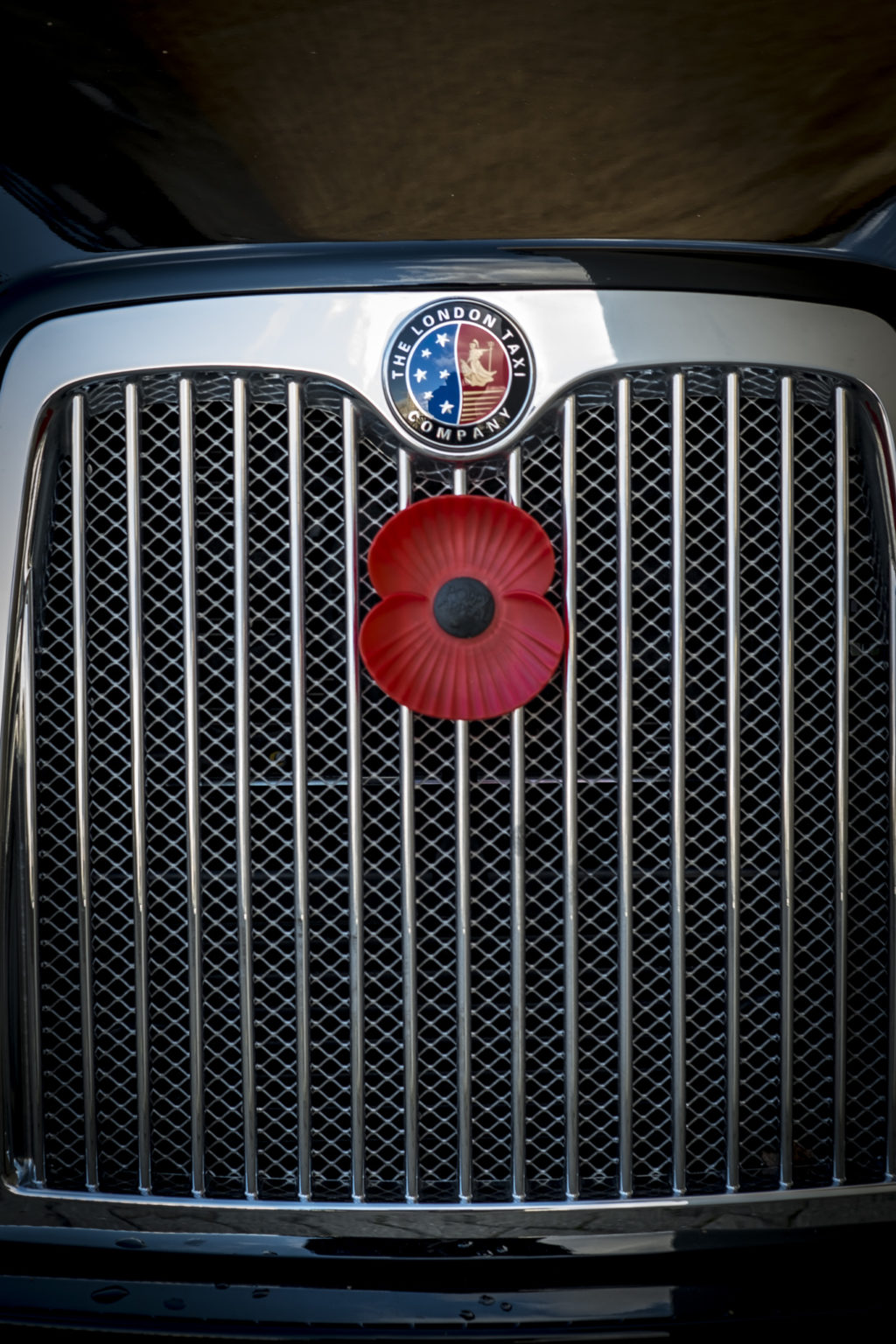 Poppy on the grill of a London Taxi