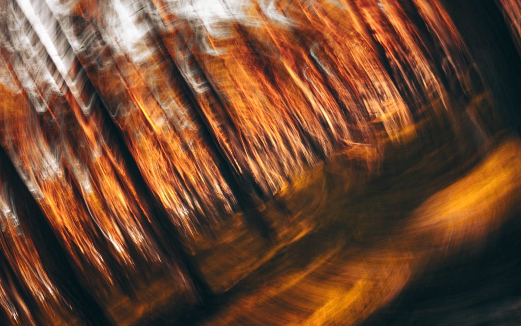 intentional camera movement