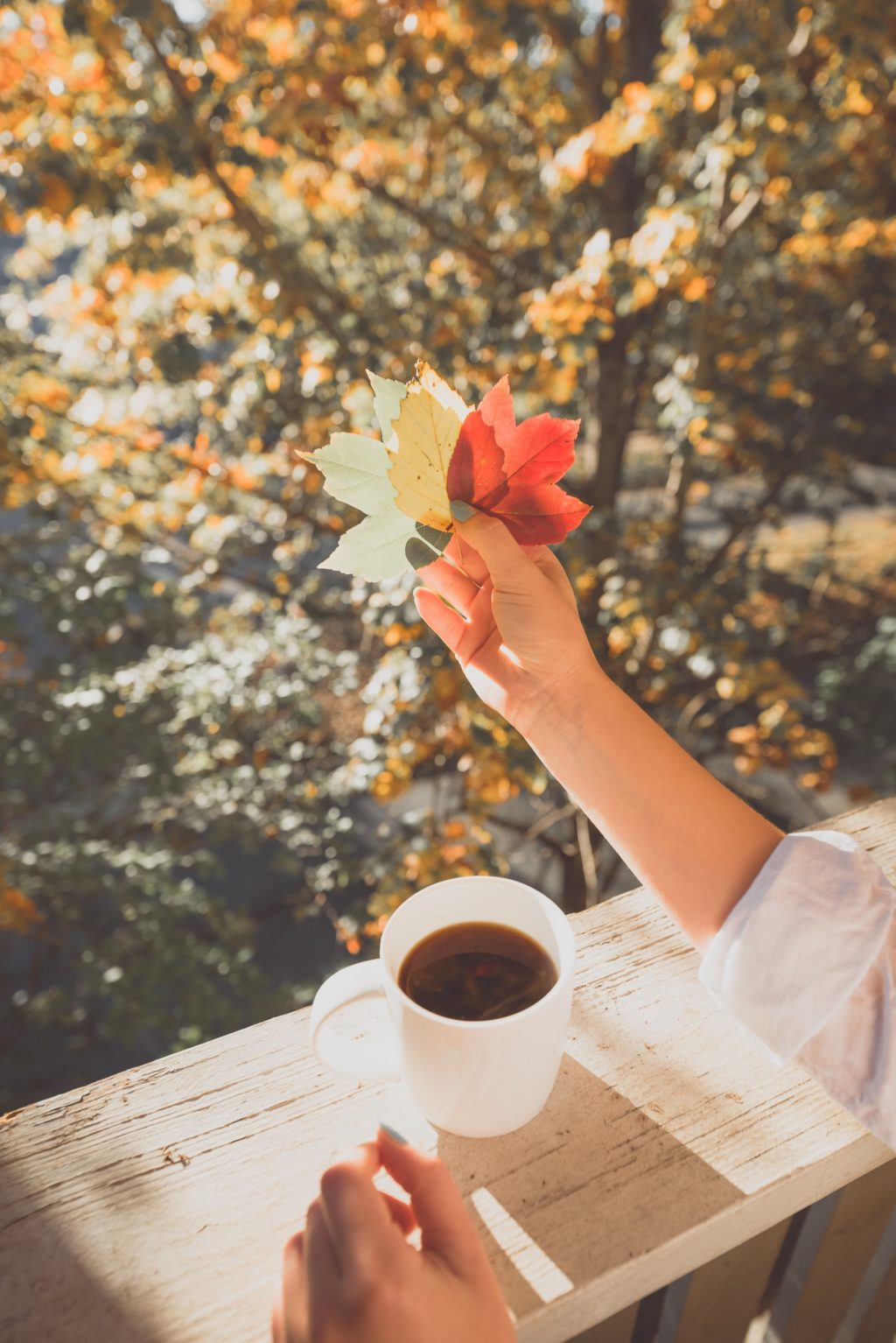 leaves and coffee