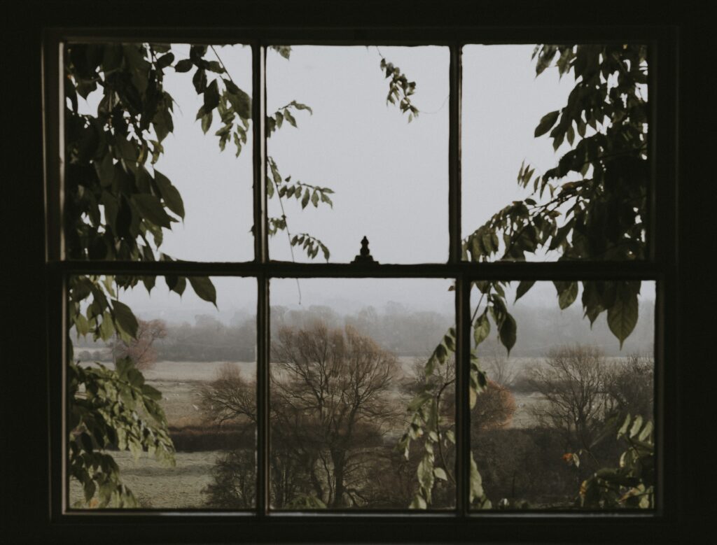 muted tones window