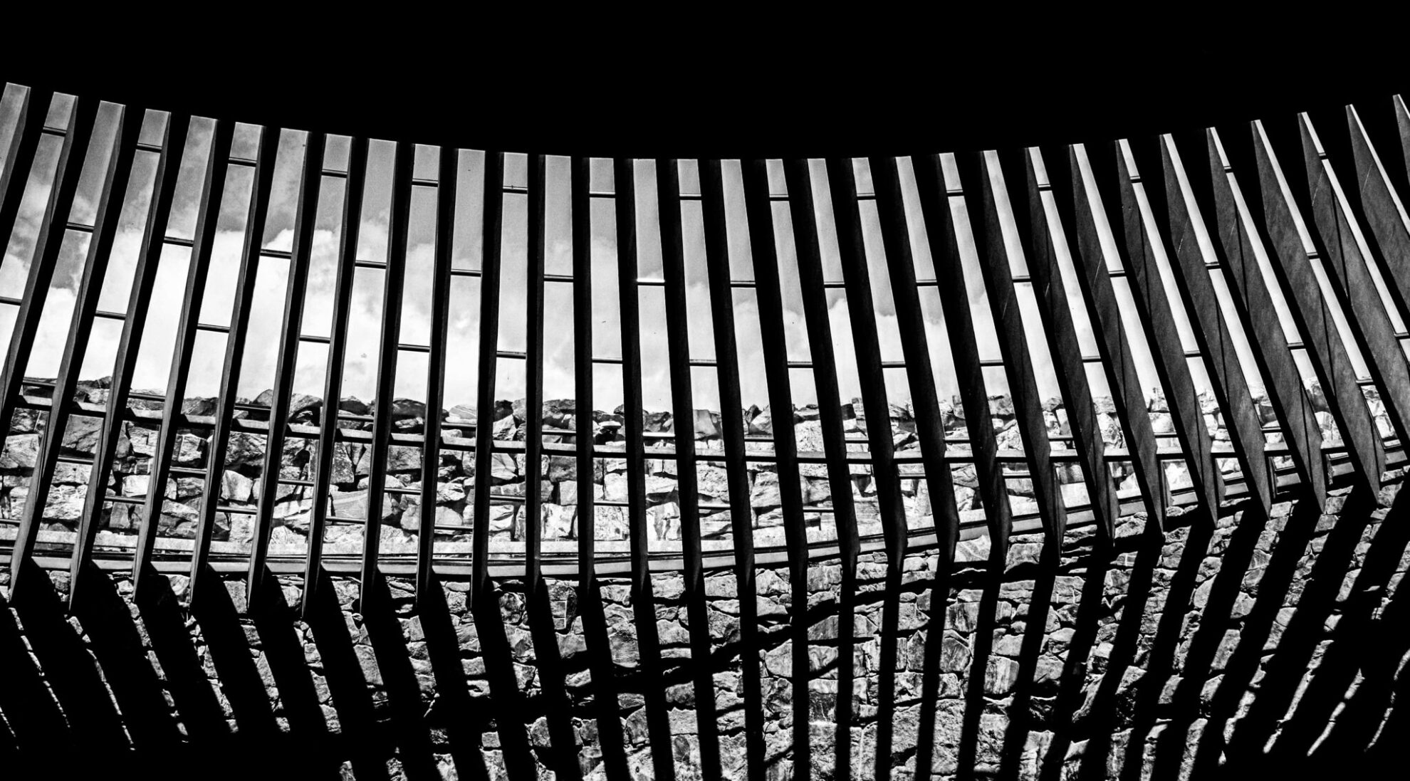 january-2026-photo-contest-winners-rhythm-and-repetition-light-stalking