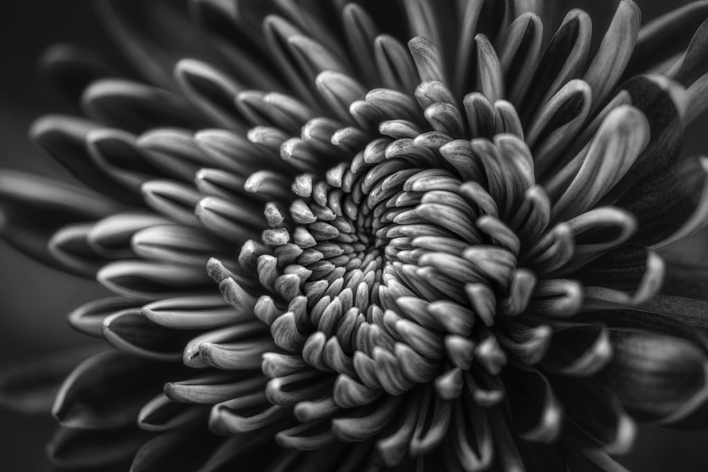 black and white patterns