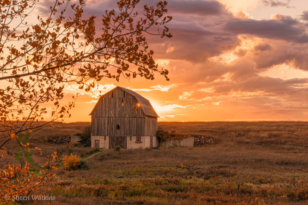 Farm after Lightroom's Color Grading