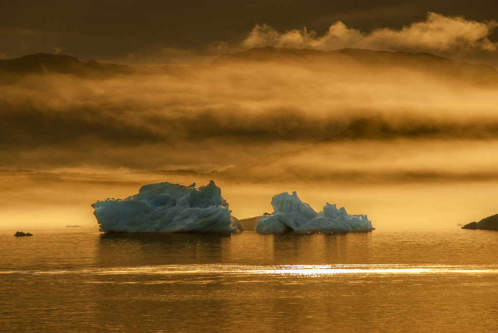 Greenland icebergs in a sunset