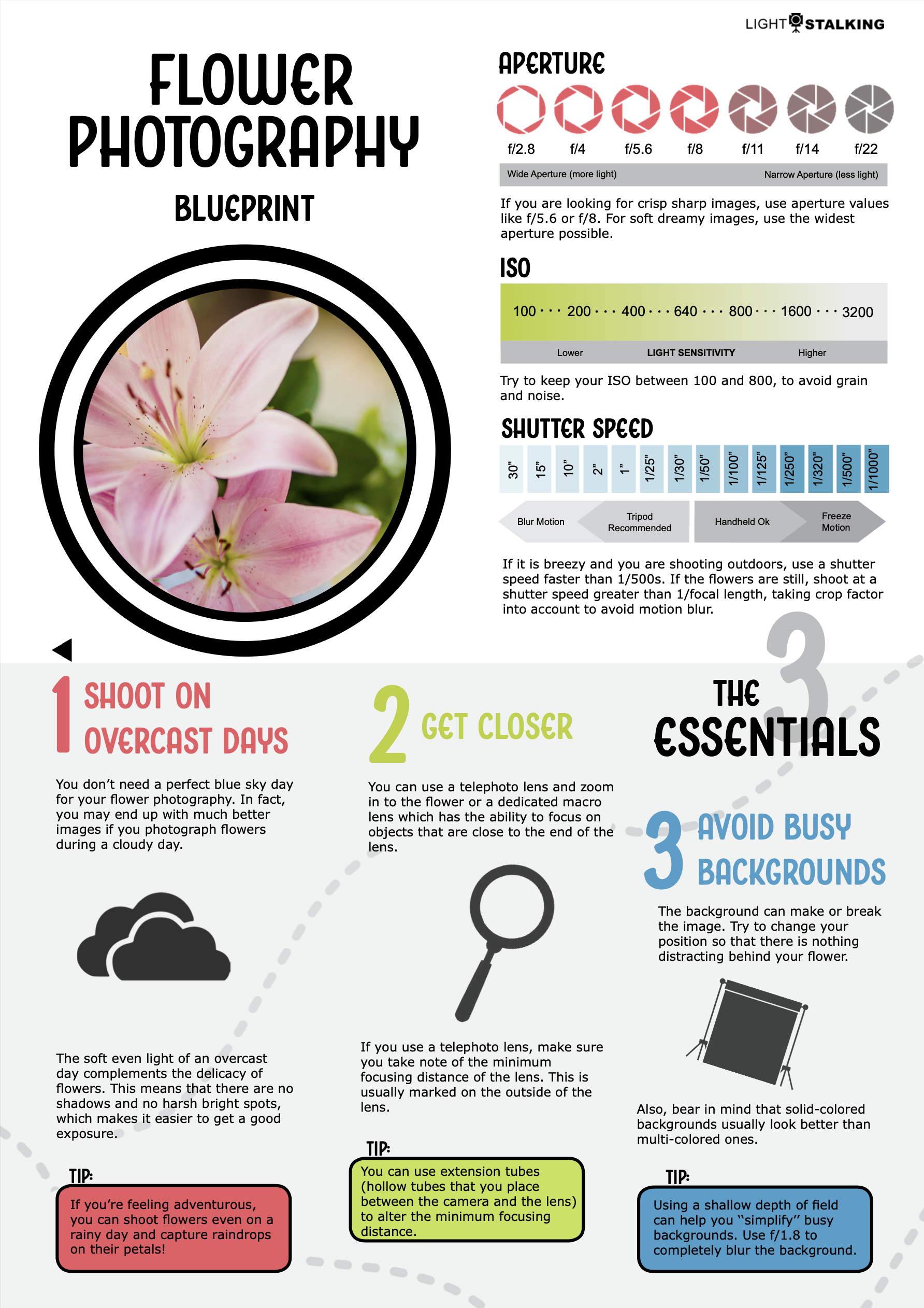 Flower Photography Blueprint