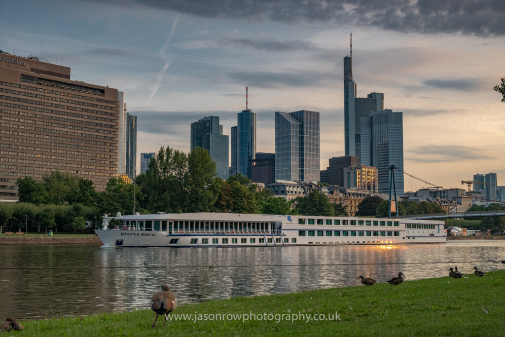 Ducks on the banks of the River Main with the skyline of Frankfurt Financial district behind