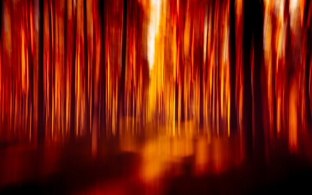 intentional camera movement photography