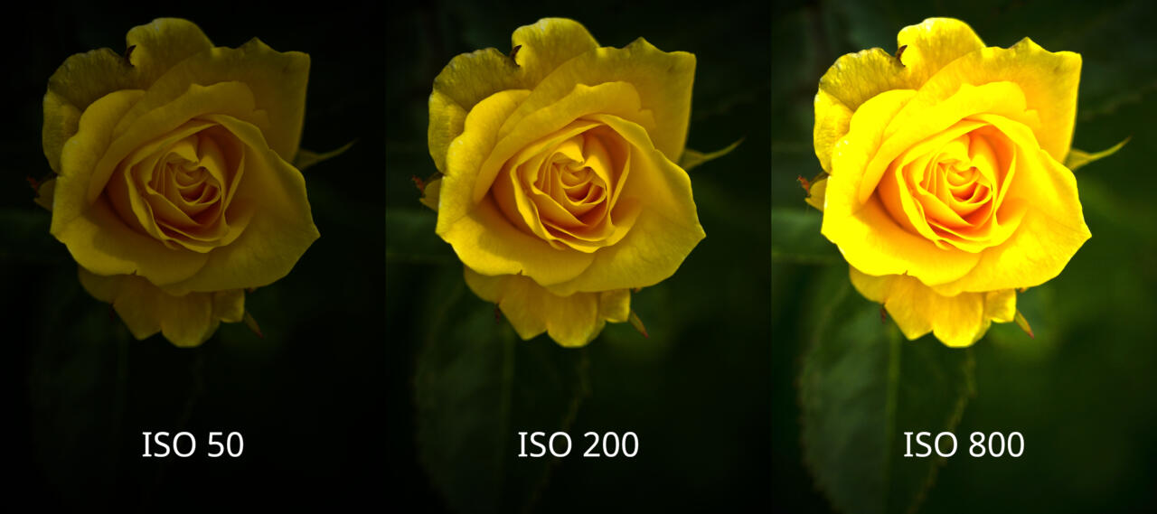 Iso-comparison-1 Iso-comparison-1-scaled