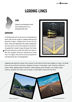 Leading-Lines-project-s