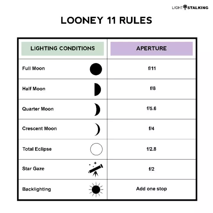 Looney 11 Rules