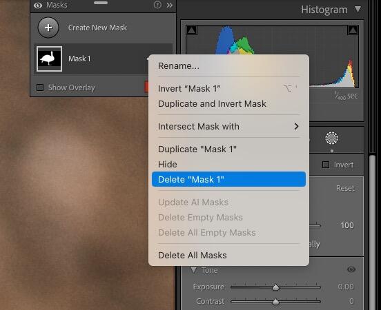 Lightroom mask options