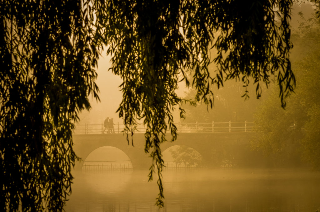 Couple walk across bridge in golden dawn on Minnewater in Bruges