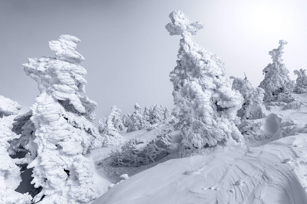 Northern Cross, Zao Onsen, Japan