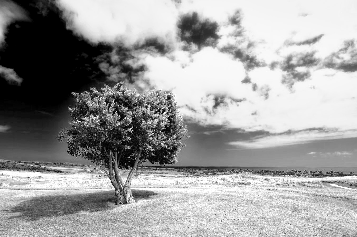 red filter for black and white photography