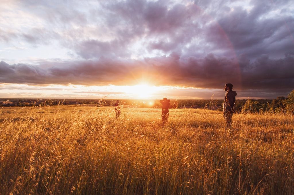 strong golden light landscape lens flare in photography