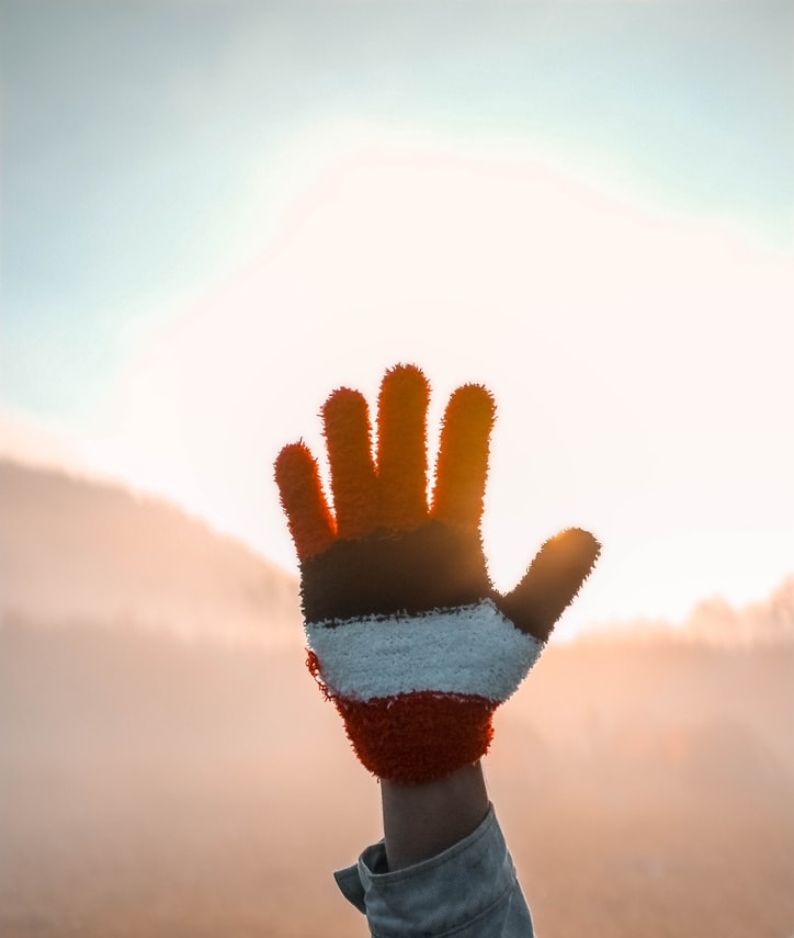 hand in the sunlight