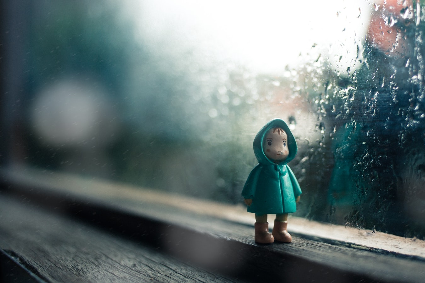 Photographing in the Rain: 8 Things to Photograph on Rainy Days