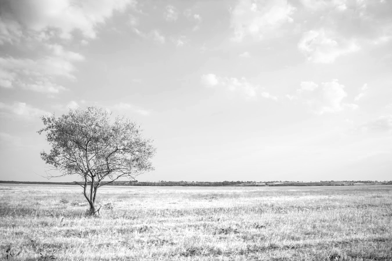 yellow filter for black and white photography