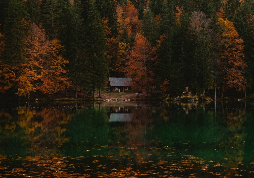 dark lake autumn
