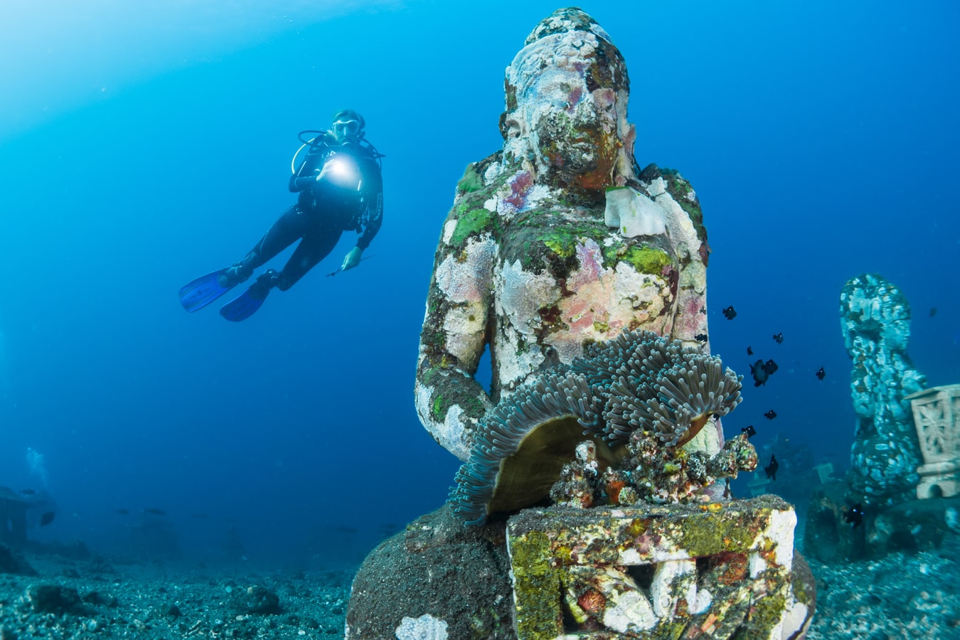 statue underwater photography