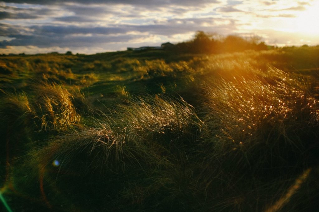 soft afternoon light lens flare photography