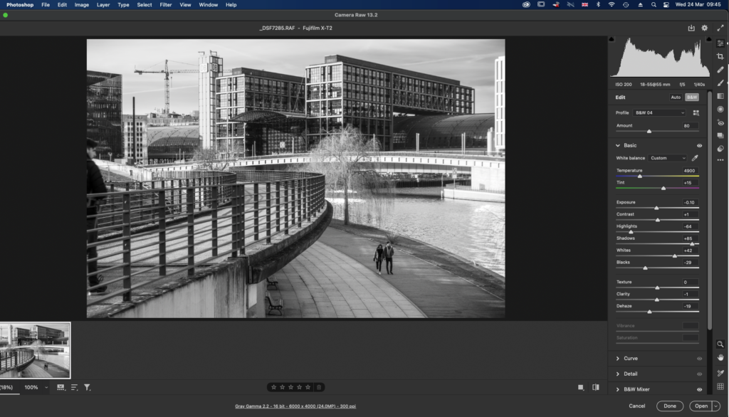 A black and white image in Adobe Raw. 