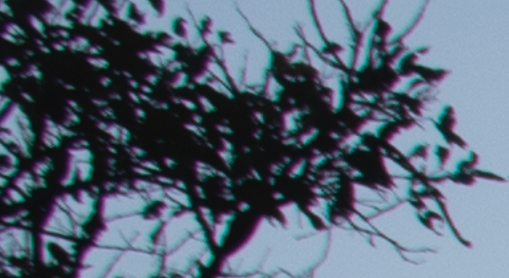 magnified crop chromatic aberration