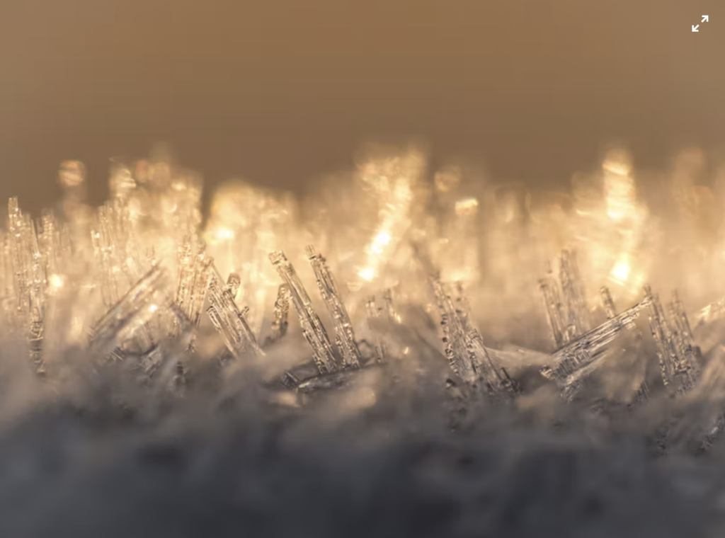 ice crystals with soft backlighting
