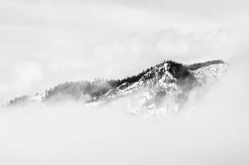 misty mountain top black and white