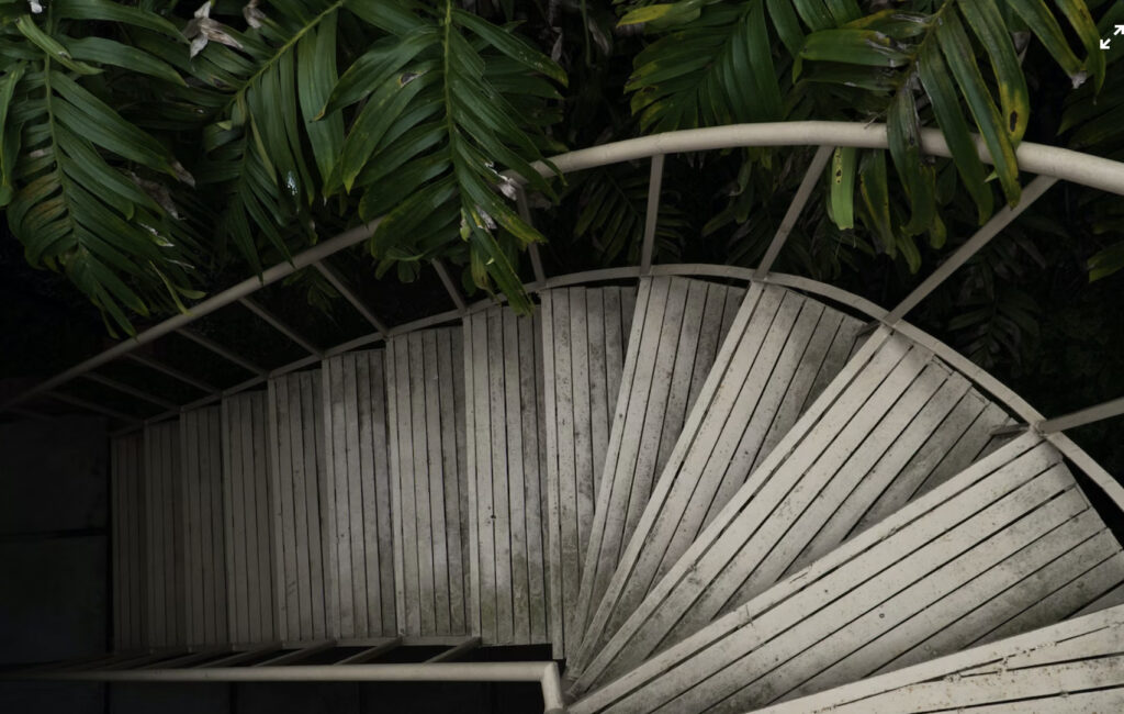 spiral stairs dark garden