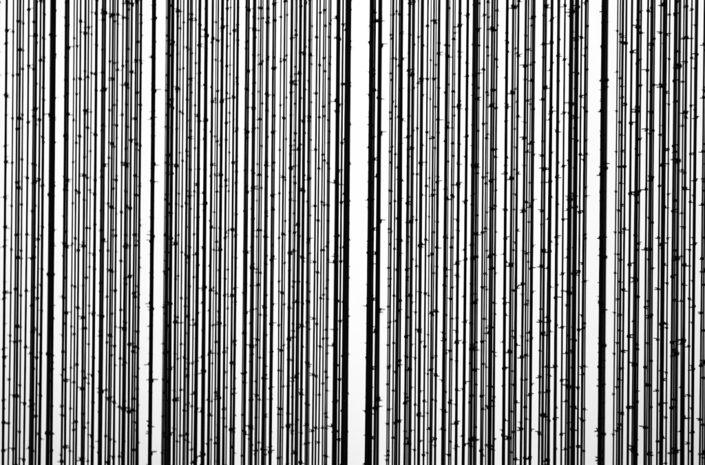 patterns sharp photography