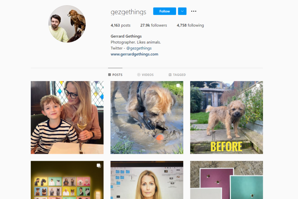 instagram pet photographers Gerrard Gethings