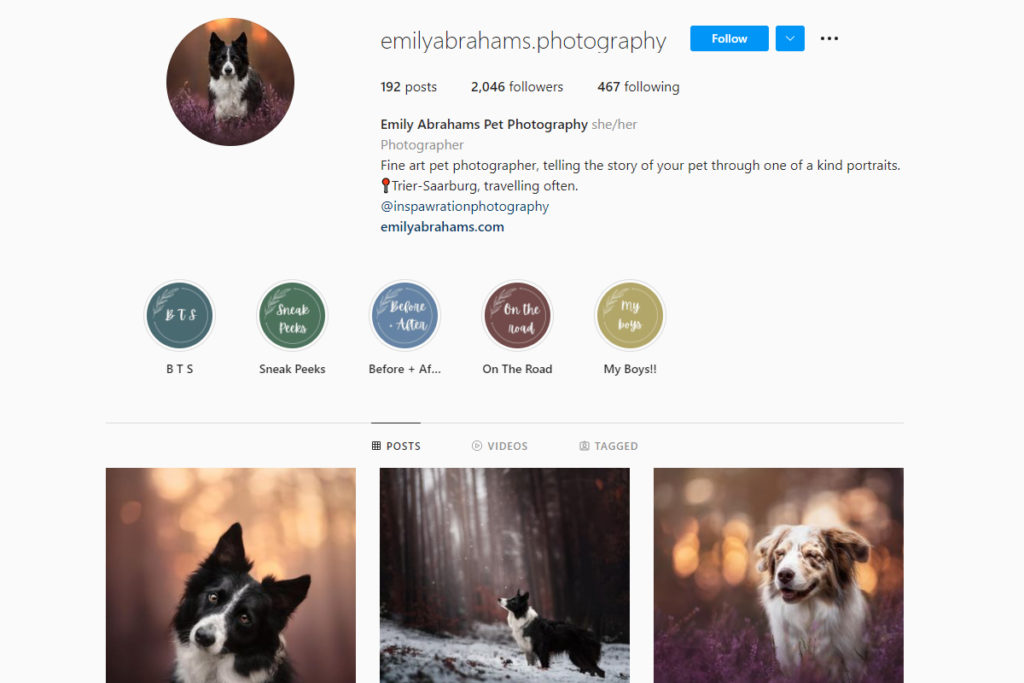 instagram pet photographers Emily Abrahams