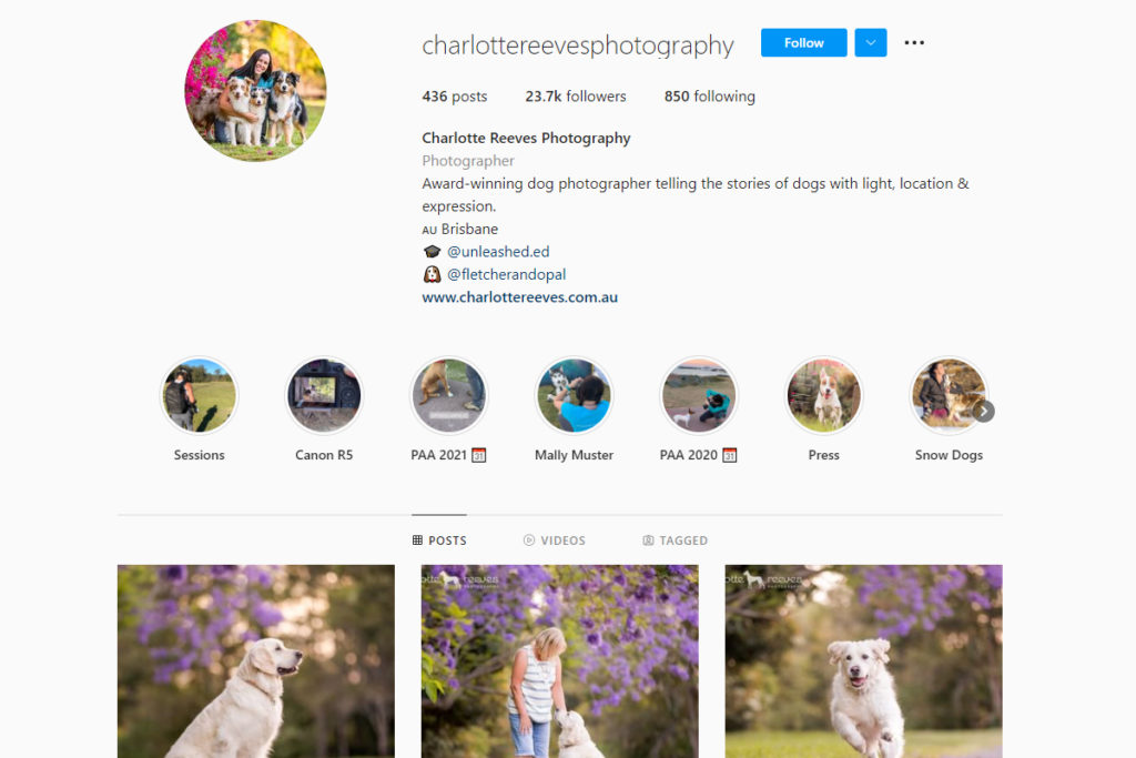 instagram pet photographers Charlotte Reeves