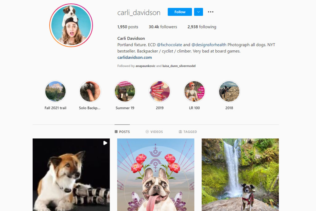 instagram pet photographers CarlI Davidson
