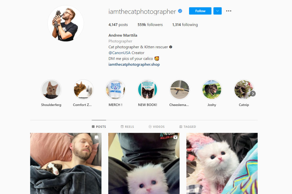 instagram pet photographers Andrew Marttila