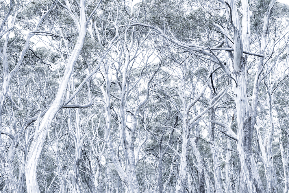 Spiry, Tasmania, Australia