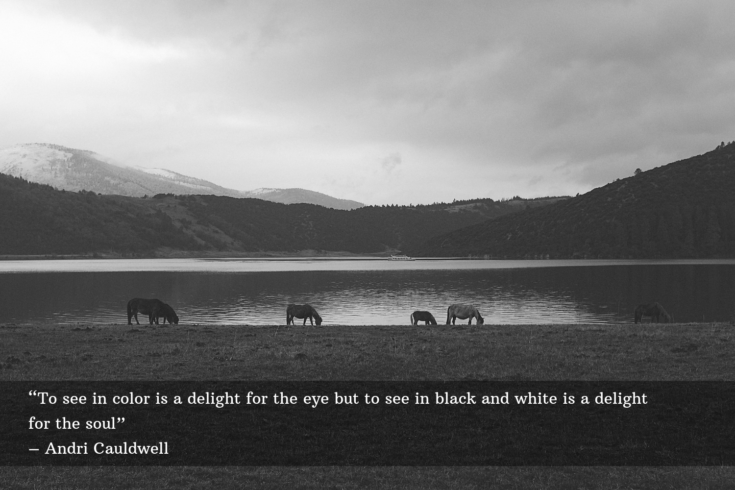 70 Black And White Quotes To Inspire Your Photography | Light Stalking