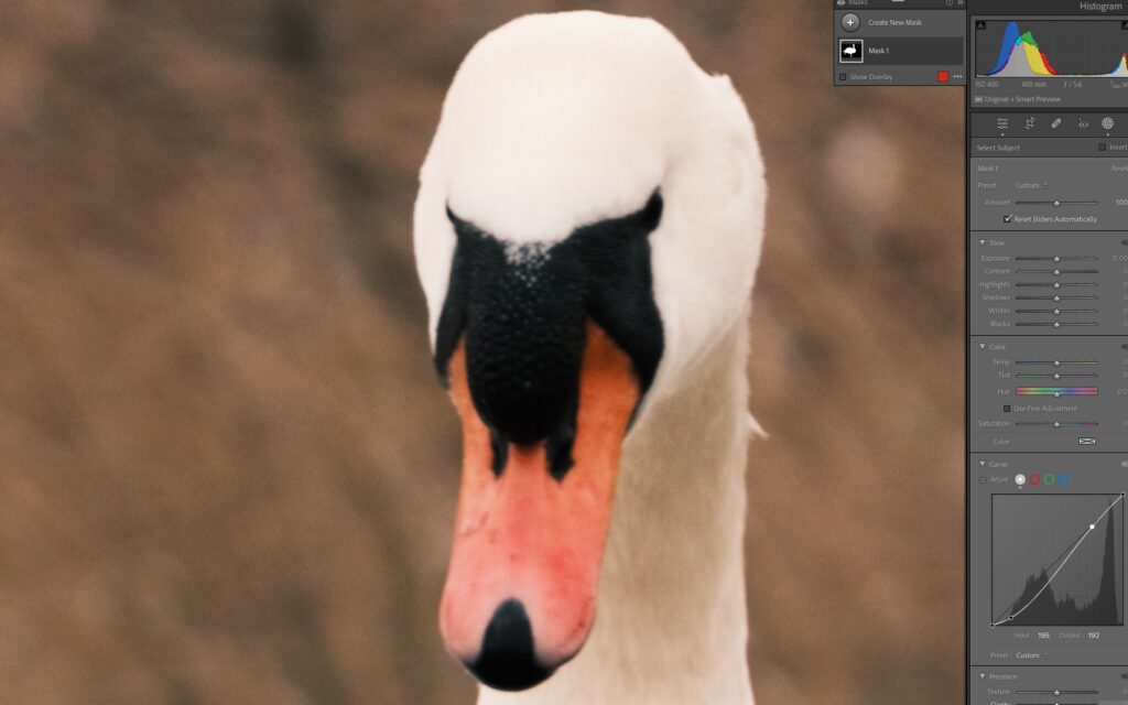 Using the tone curve on a mask in Lightroom