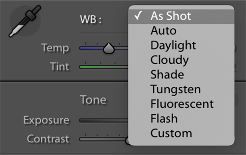 White Balance drop down settings for raw files