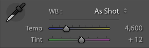 White Balance Sliders for raw files