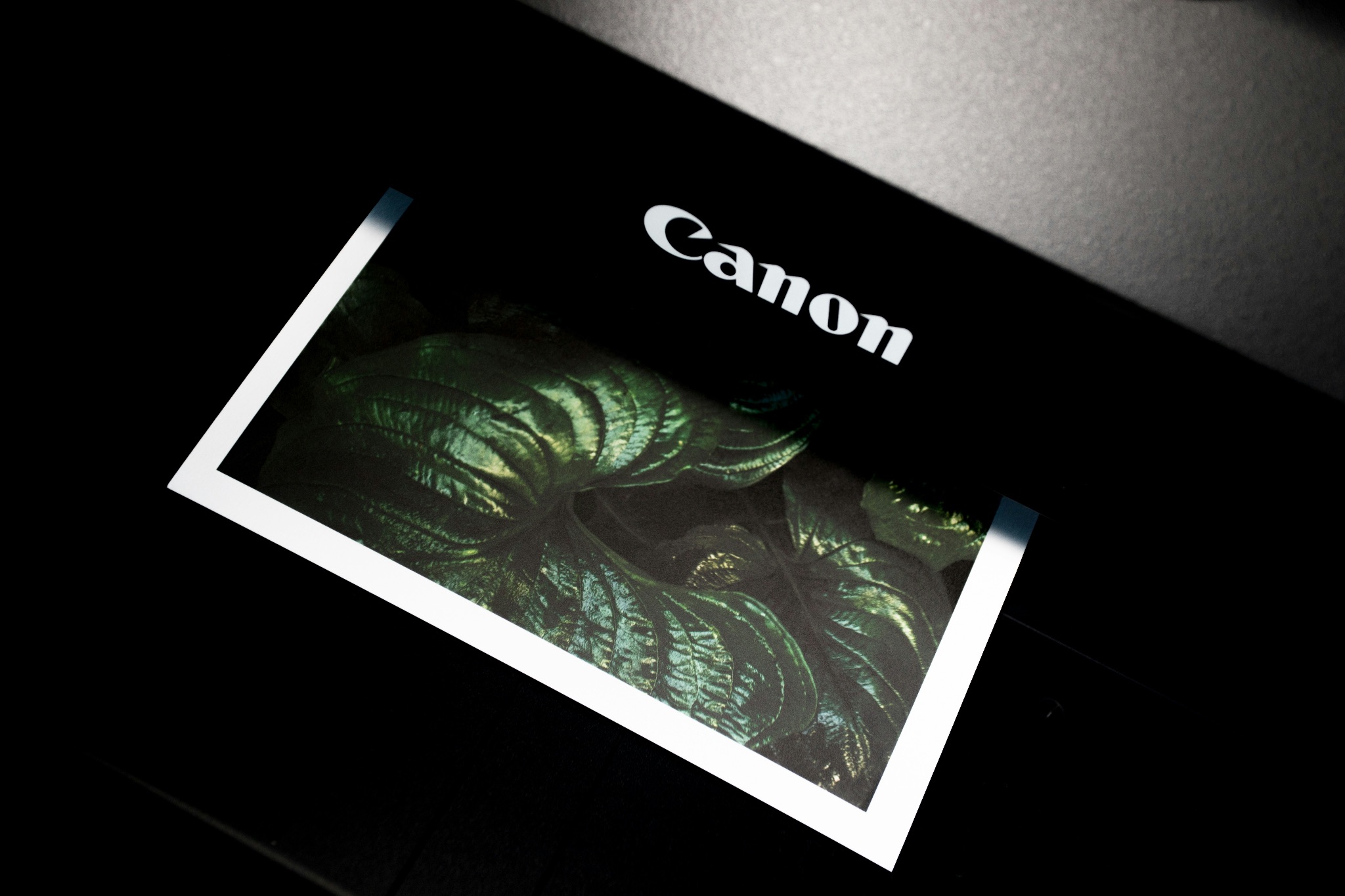 A Canon printer creating a photographic print 