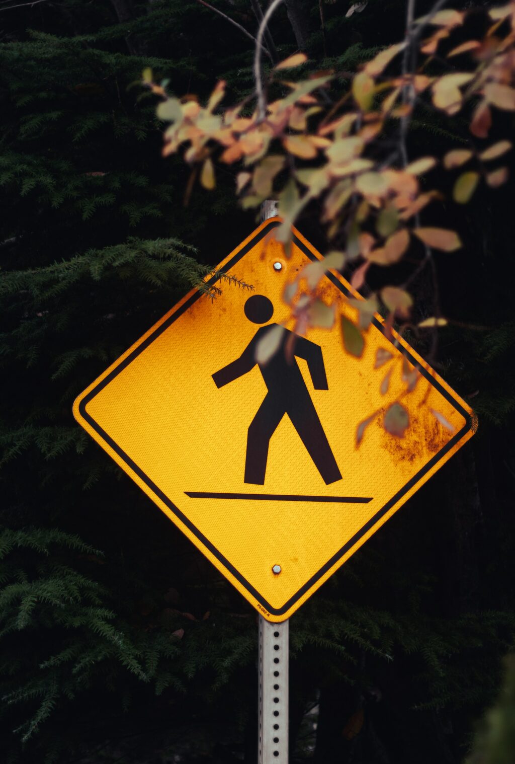 crossing street sign