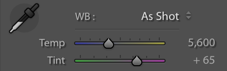 adjusting white balance