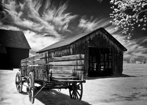 infrared farm