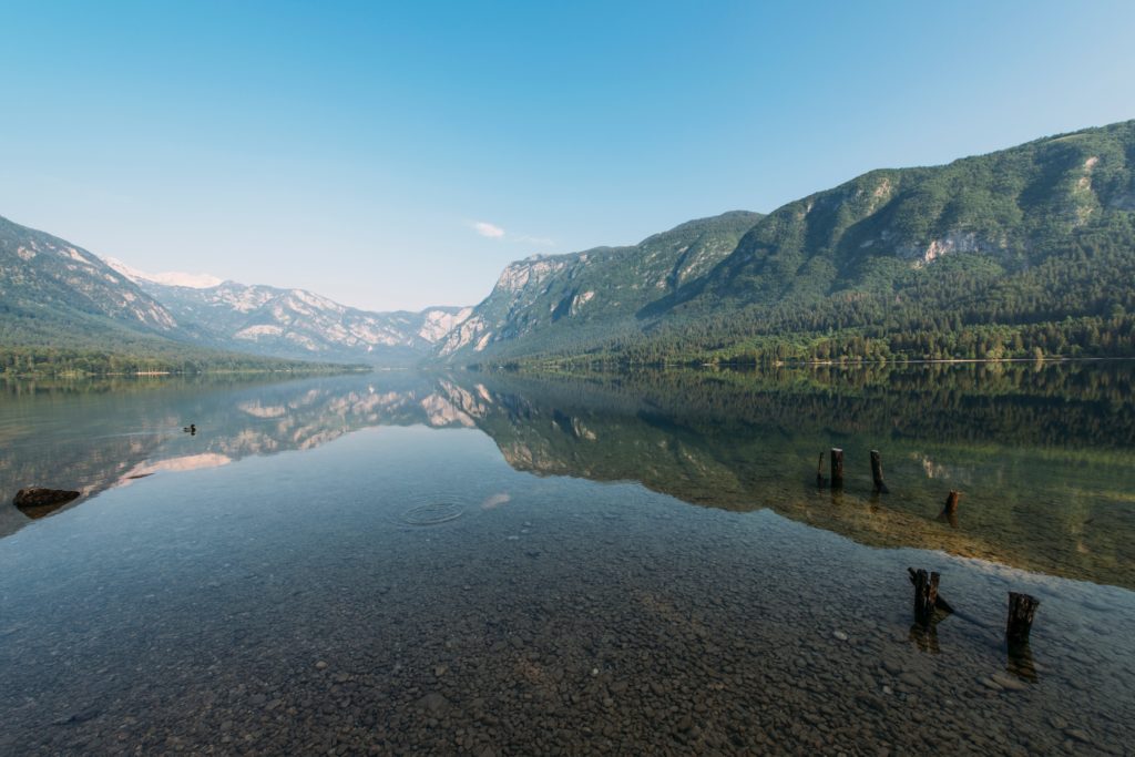 polarizing filter